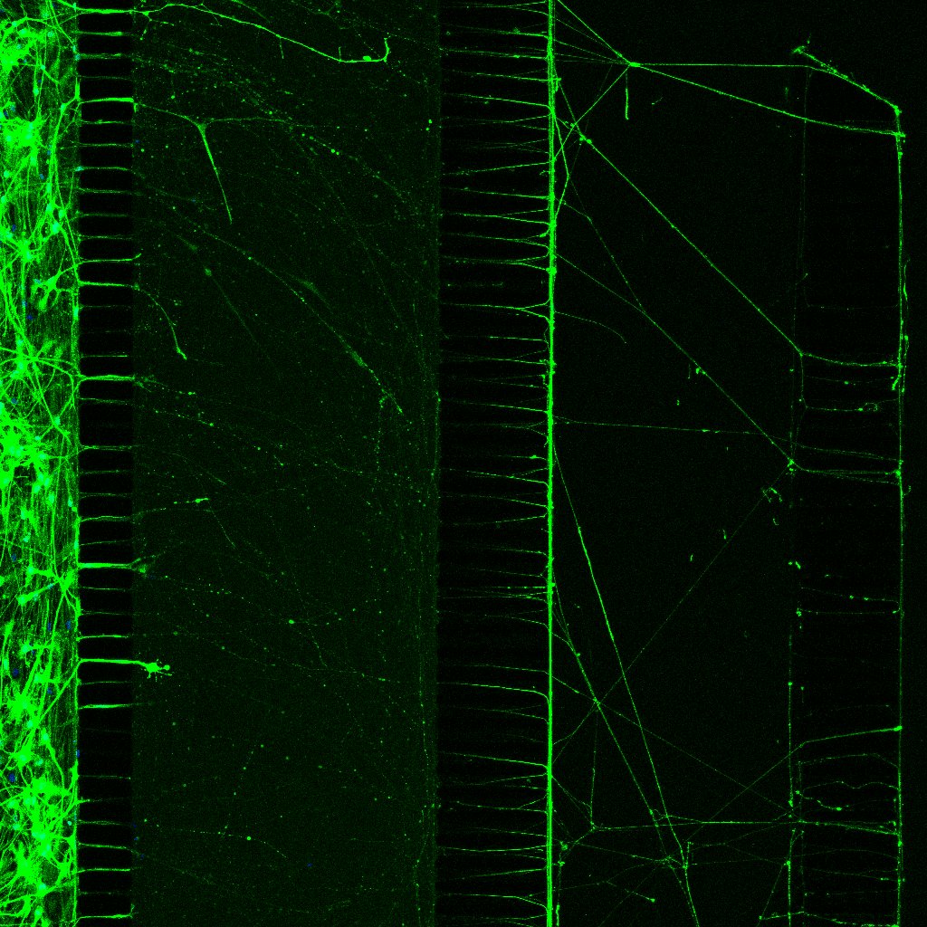 Cnr sensory device 4