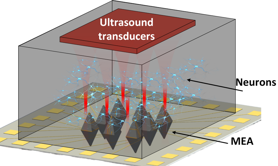 Ultrasound neuromodulation