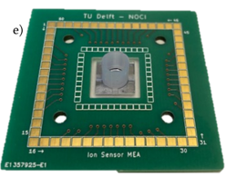 Ion sensor